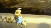 funnydogvideoclips
